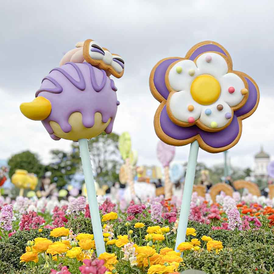 ヴァネパル2026　ロリポップ（デイジー）