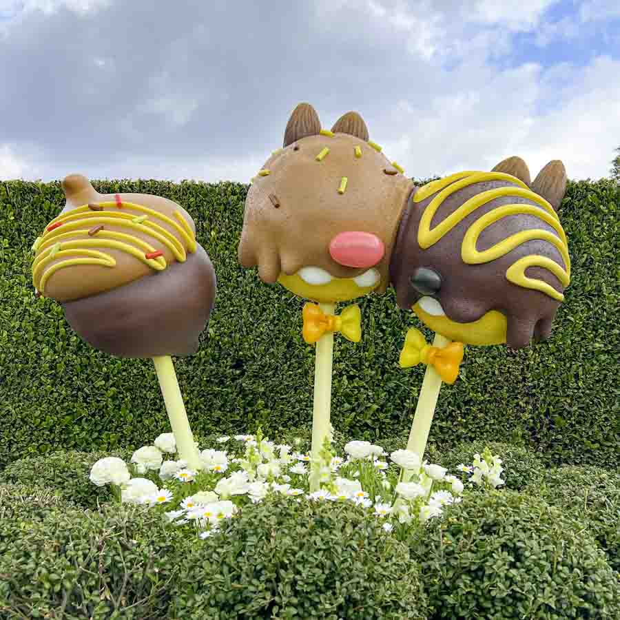 ヴァネパル2026　ロリポップ（チップとデール）