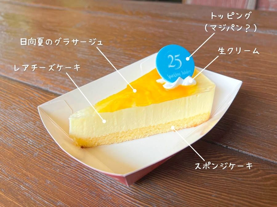 ヒュウガナツレアチーズケーキ　詳細写真